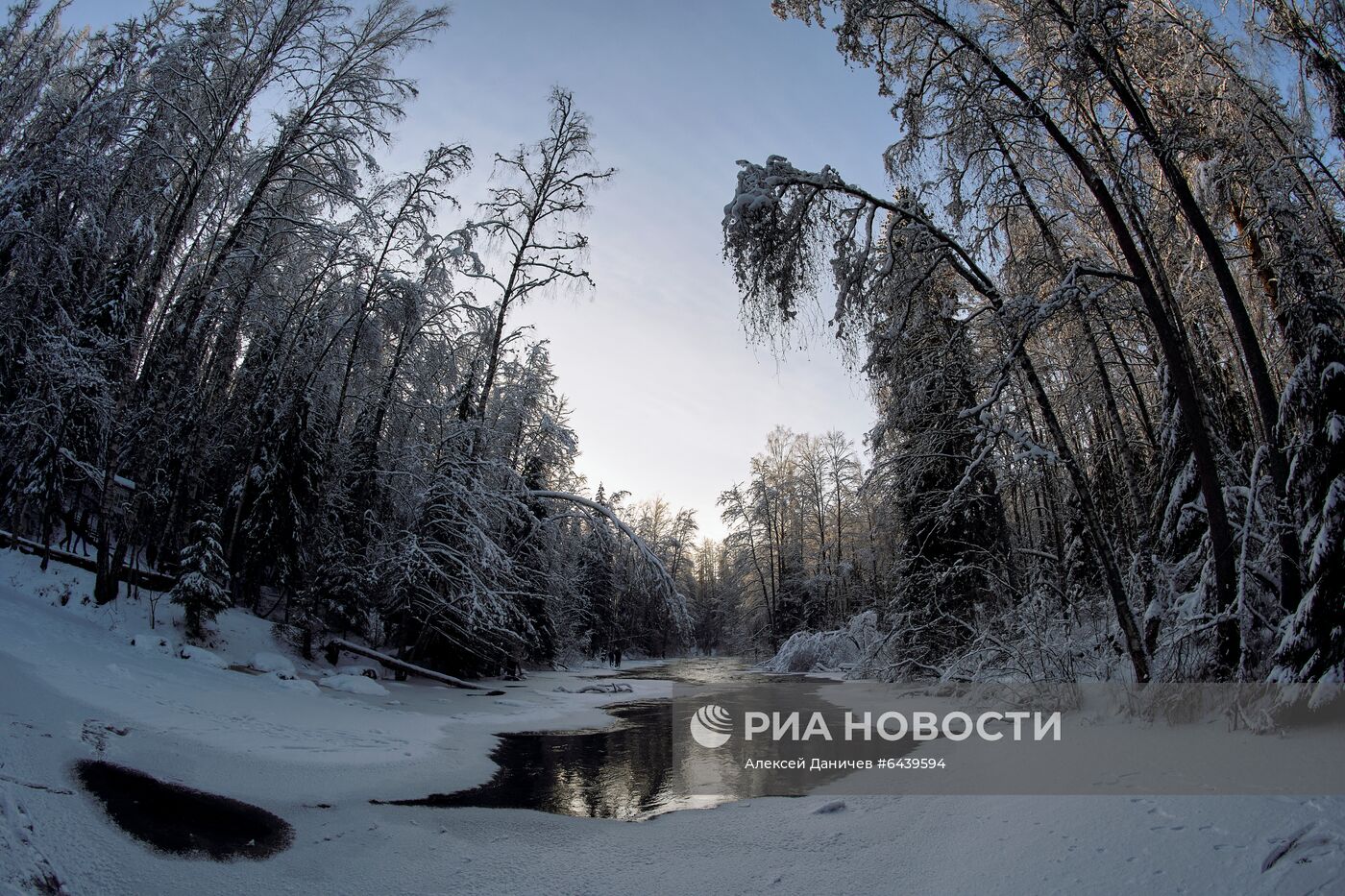 Зимняя Линдуловская роща в Ленинградской области