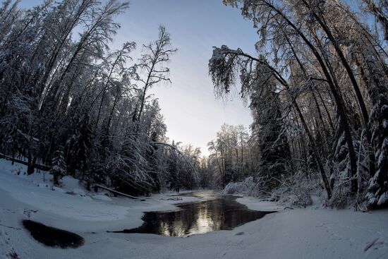 Зимняя Линдуловская роща в Ленинградской области