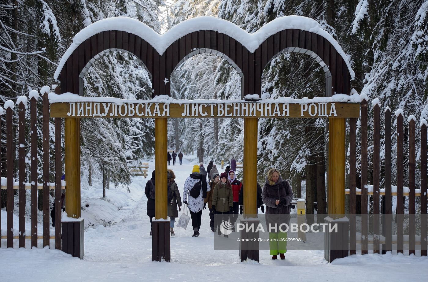 Зимняя Линдуловская роща в Ленинградской области