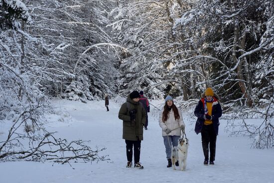 Зимняя Линдуловская роща в Ленинградской области