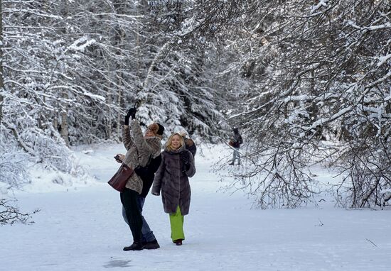 Зимняя Линдуловская роща в Ленинградской области