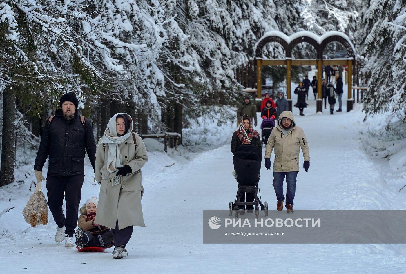 Зимняя Линдуловская роща в Ленинградской области