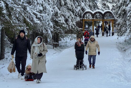 Зимняя Линдуловская роща в Ленинградской области