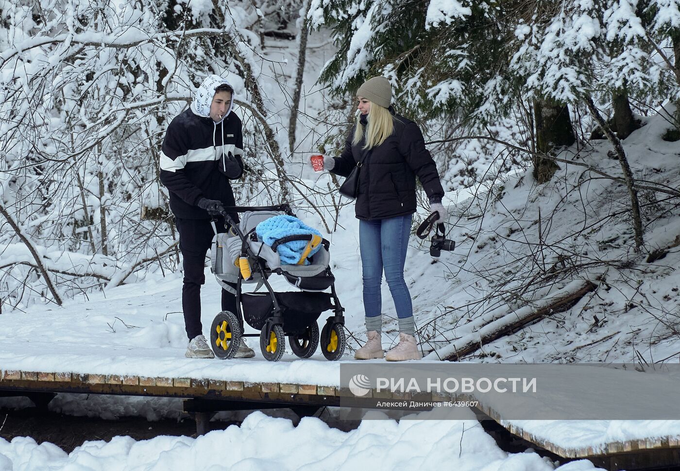 Зимняя Линдуловская роща в Ленинградской области