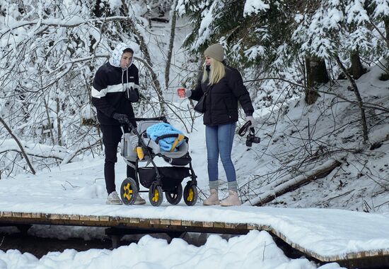 Зимняя Линдуловская роща в Ленинградской области