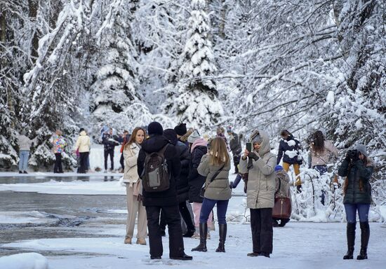 Зимняя Линдуловская роща в Ленинградской области