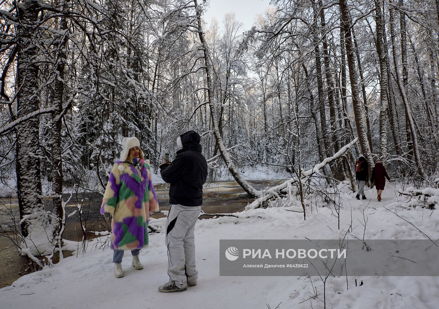 Зимняя Линдуловская роща в Ленинградской области