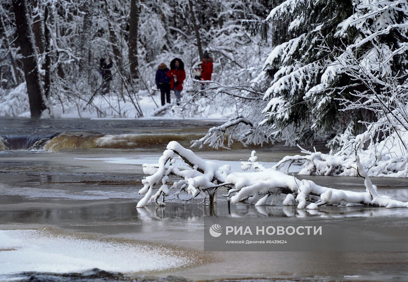 Зимняя Линдуловская роща в Ленинградской области