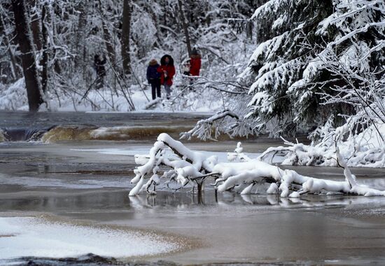 Зимняя Линдуловская роща в Ленинградской области