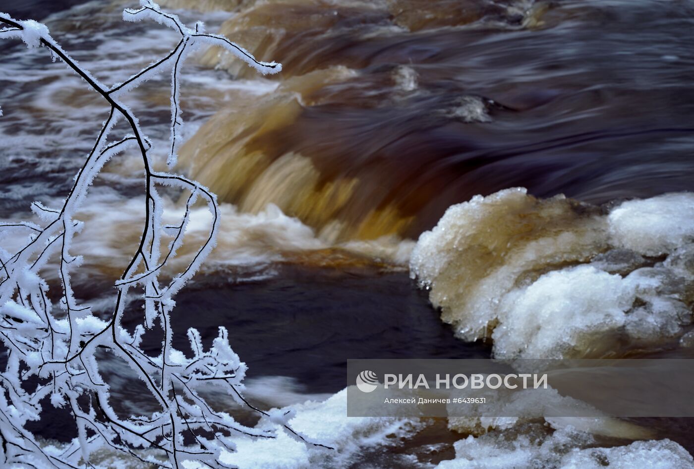 Зимняя Линдуловская роща в Ленинградской области