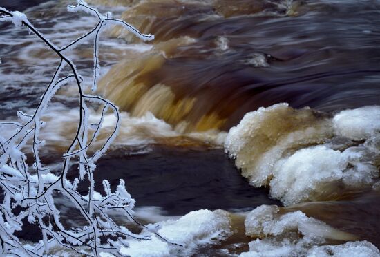 Зимняя Линдуловская роща в Ленинградской области