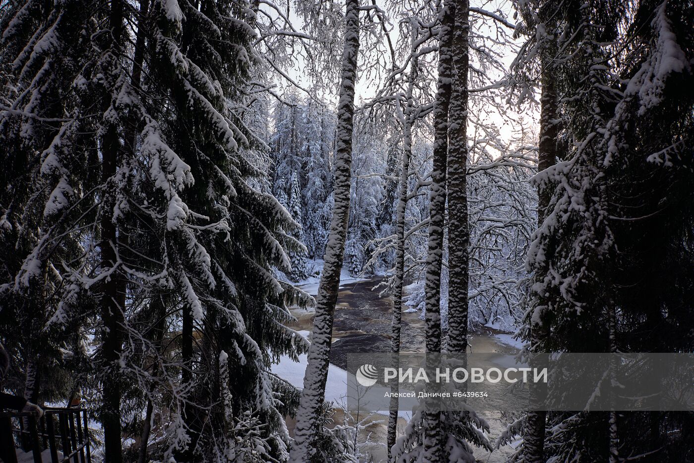 Зимняя Линдуловская роща в Ленинградской области