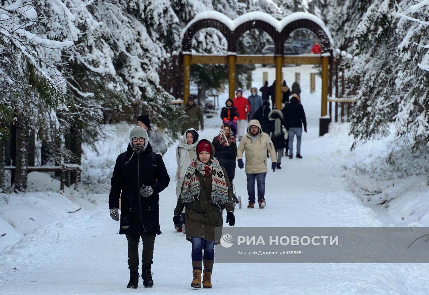 Зимняя Линдуловская роща в Ленинградской области