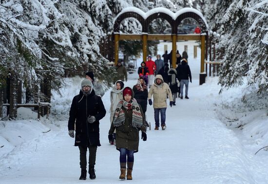 Зимняя Линдуловская роща в Ленинградской области
