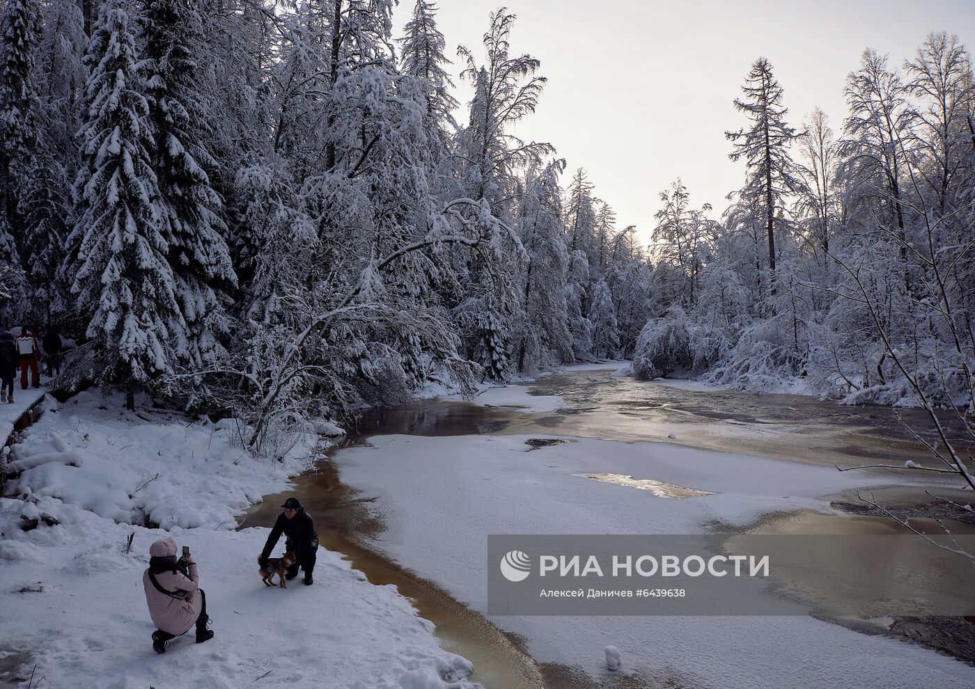 Зимняя Линдуловская роща в Ленинградской области