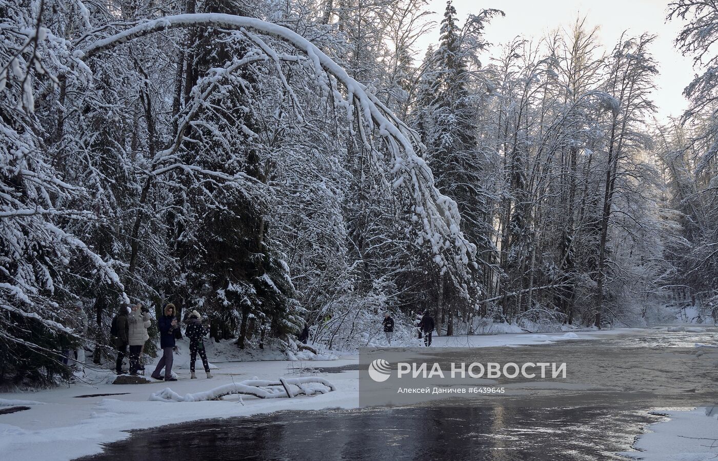 Зимняя Линдуловская роща в Ленинградской области