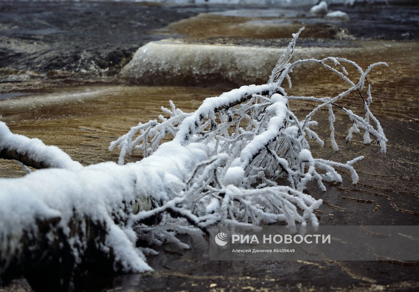 Зимняя Линдуловская роща в Ленинградской области