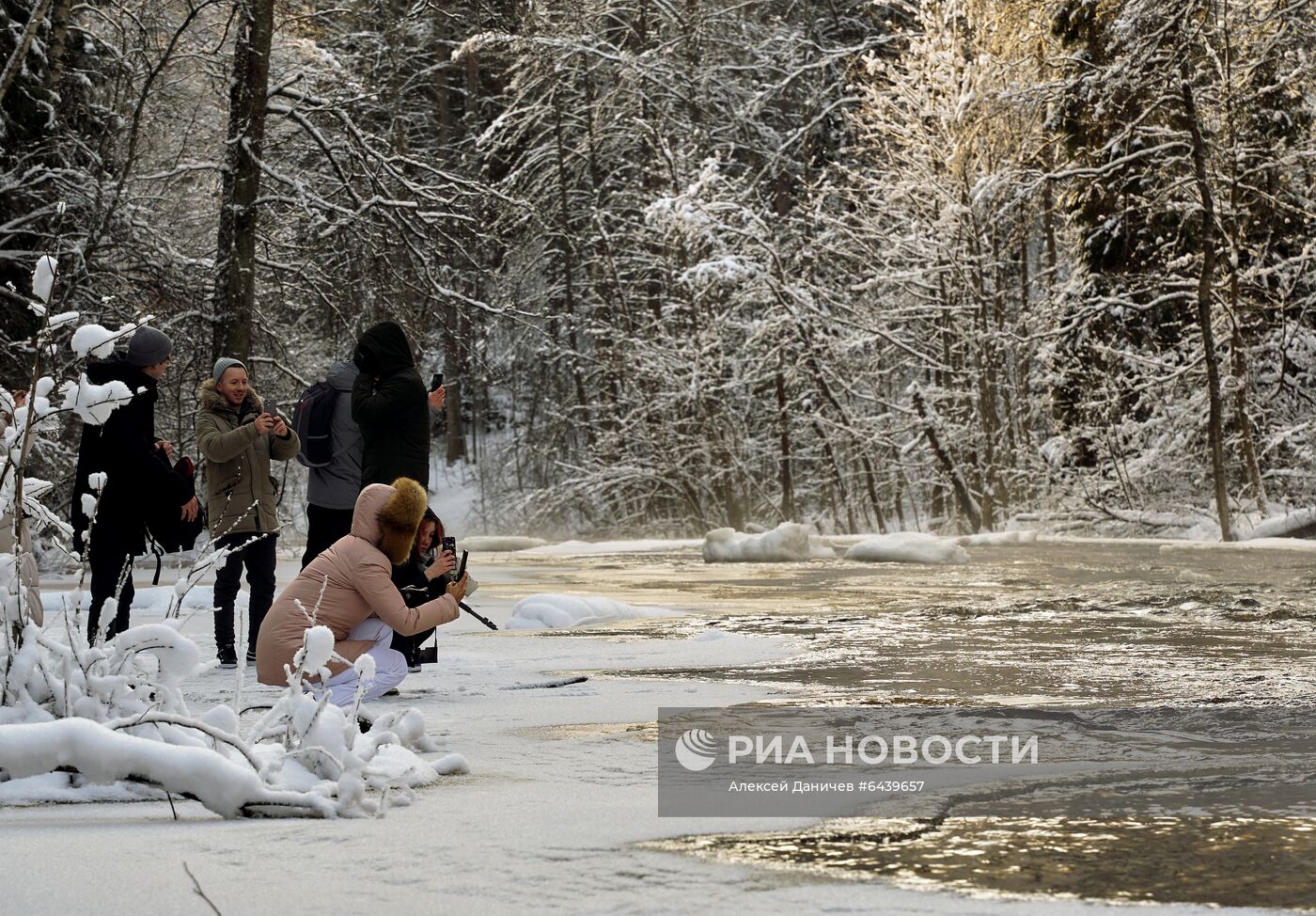 Зимняя Линдуловская роща в Ленинградской области
