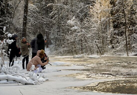 Зимняя Линдуловская роща в Ленинградской области