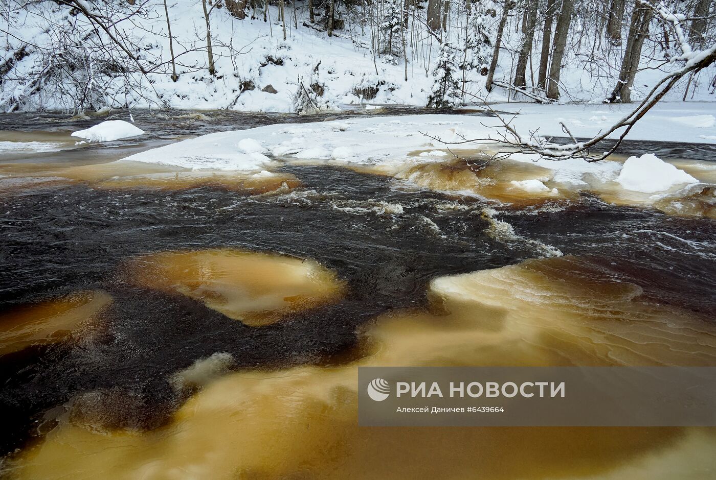 Зимняя Линдуловская роща в Ленинградской области