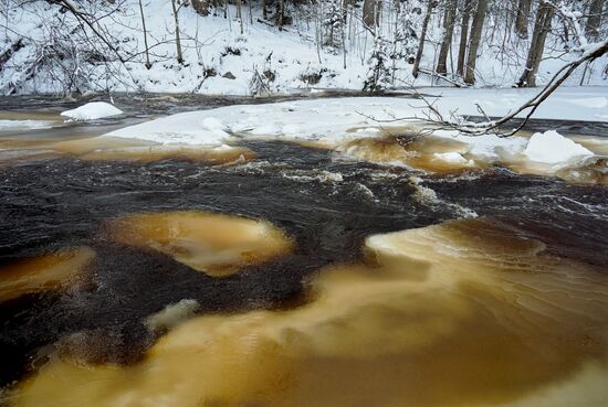 Зимняя Линдуловская роща в Ленинградской области