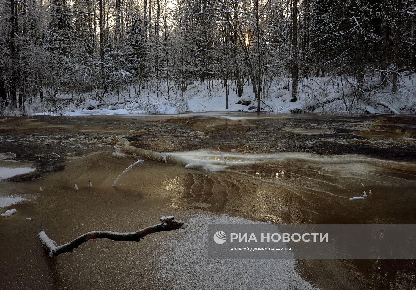 Зимняя Линдуловская роща в Ленинградской области