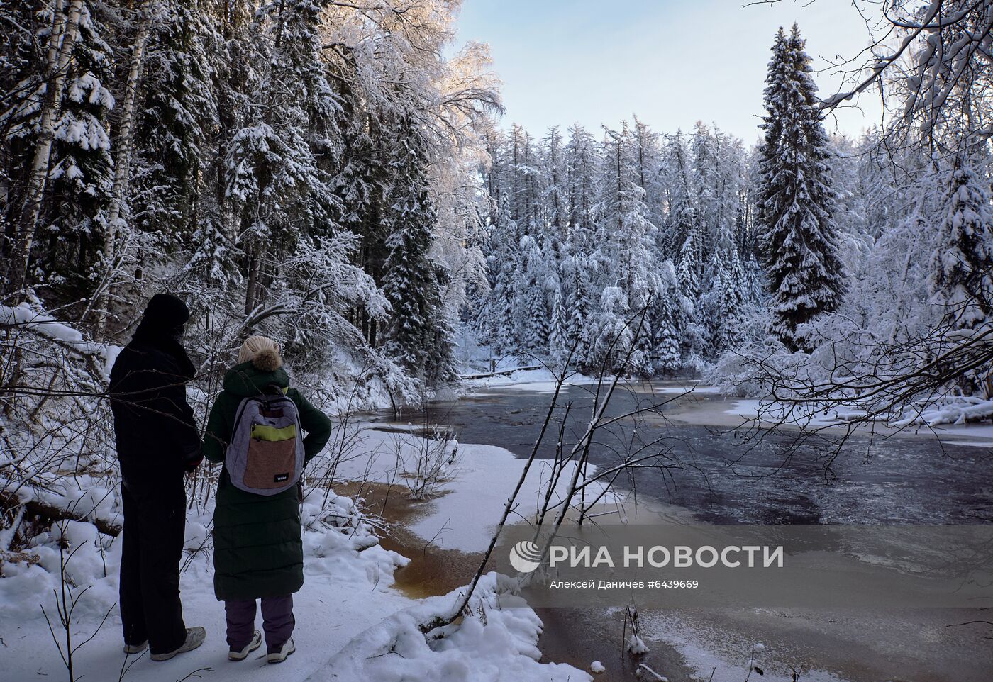 Зимняя Линдуловская роща в Ленинградской области