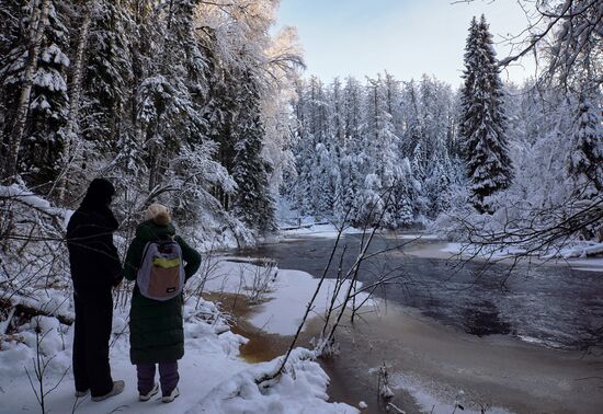 Зимняя Линдуловская роща в Ленинградской области
