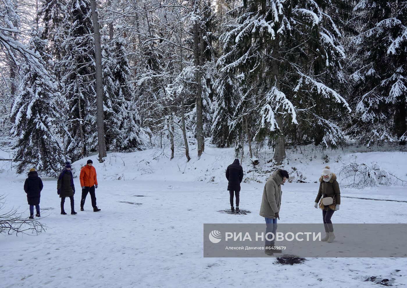 Зимняя Линдуловская роща в Ленинградской области