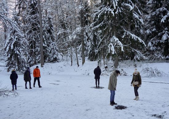 Зимняя Линдуловская роща в Ленинградской области