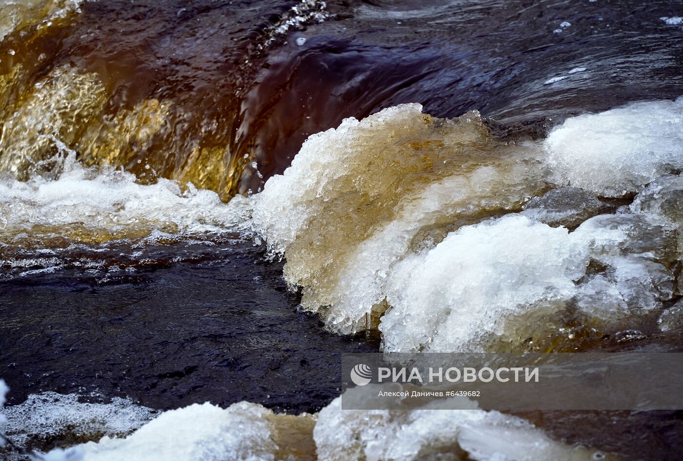 Зимняя Линдуловская роща в Ленинградской области