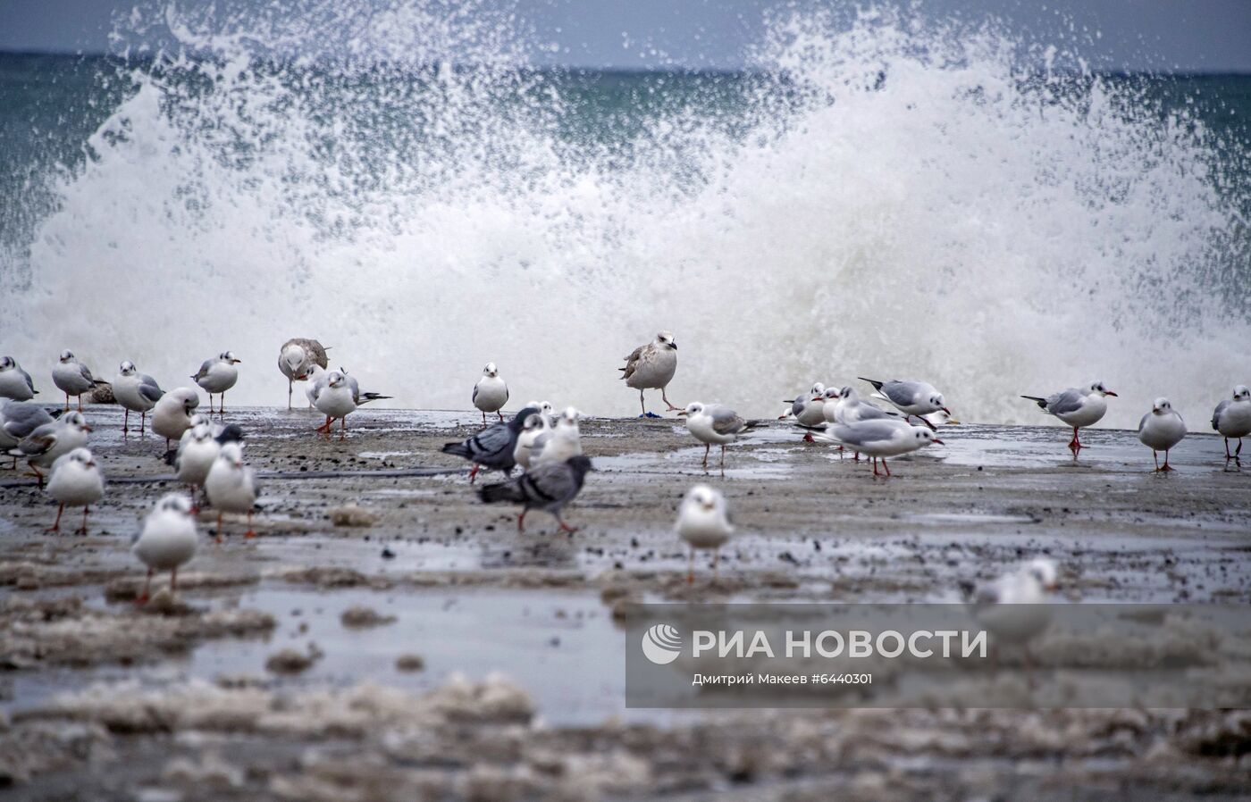 Снег в Крыму