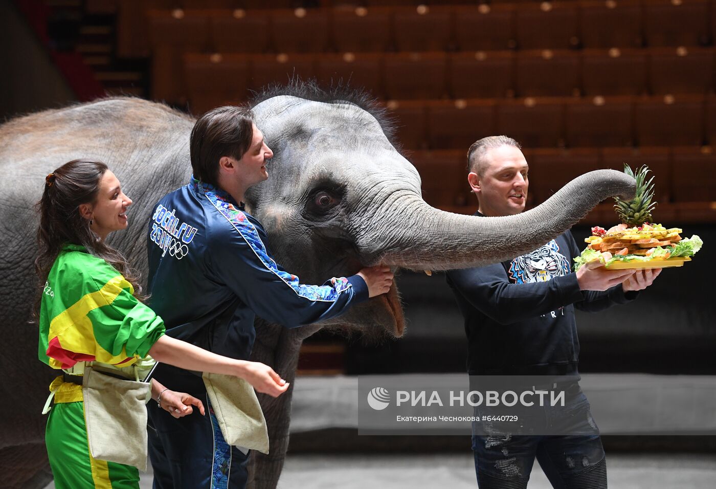 День рождения слонихи Николь в Большом Московском цирке