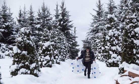 Празднование Крещения