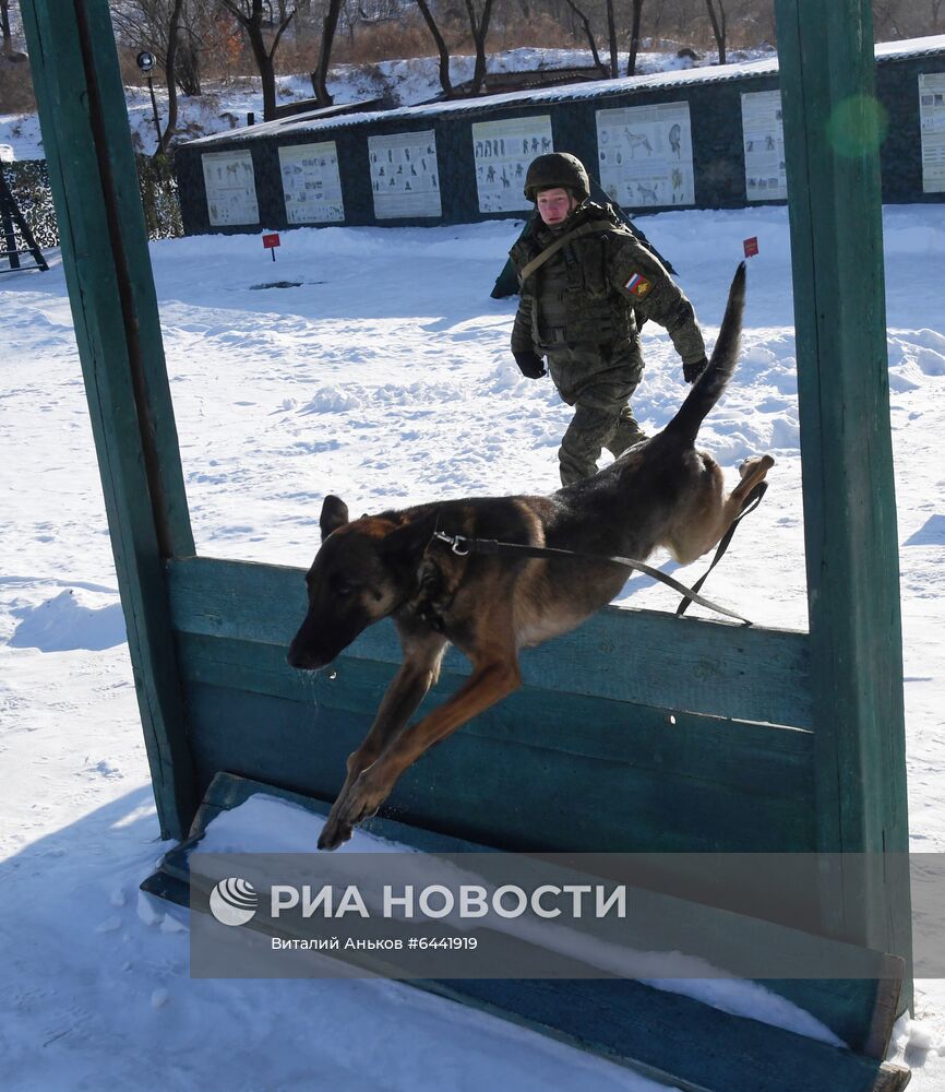 Тактико-специальные занятия инженерно-саперного полка ВВО в Приморье