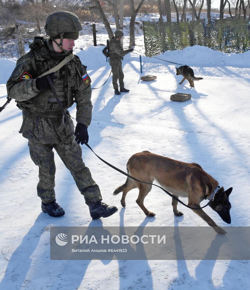 Тактико-специальные занятия инженерно-саперного полка ВВО в Приморье