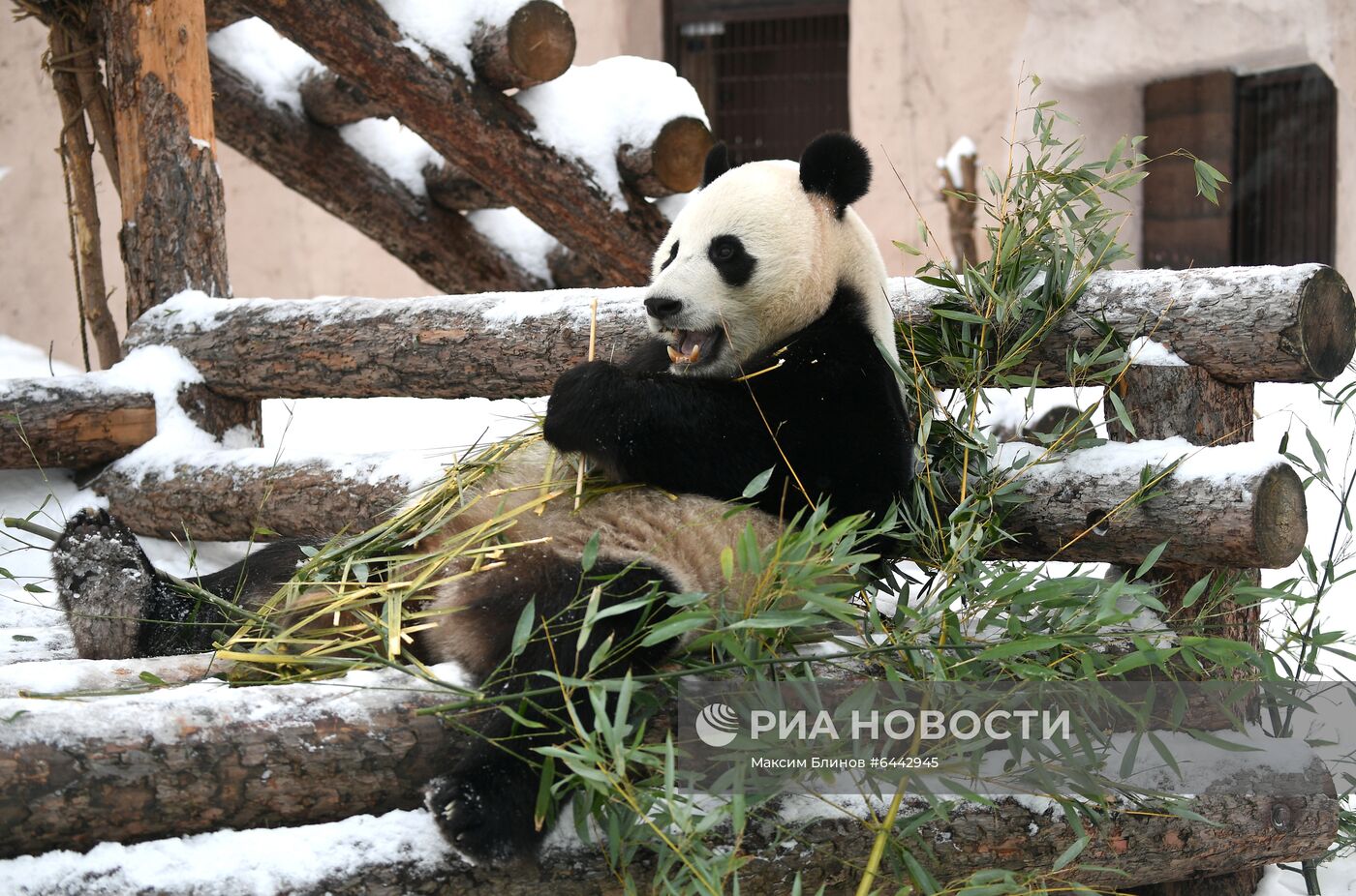 Московский зоопарк