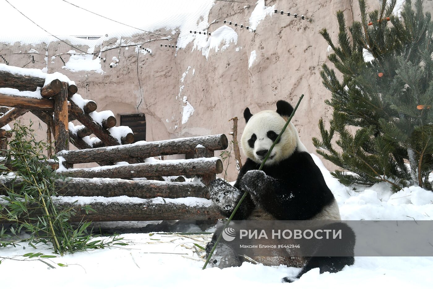 Московский зоопарк