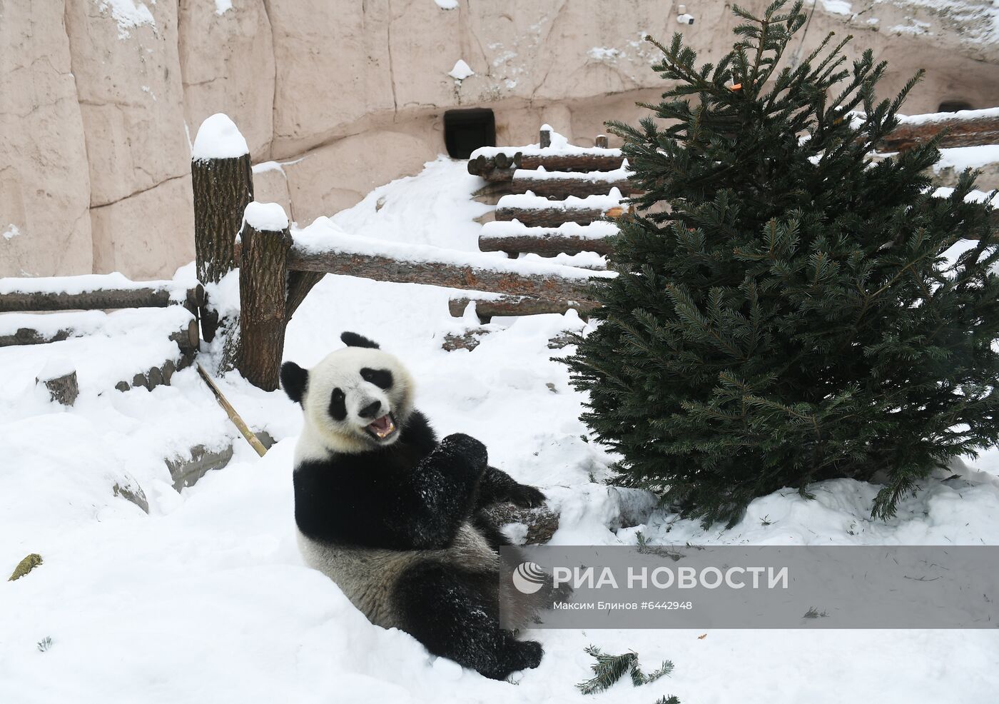 Московский зоопарк