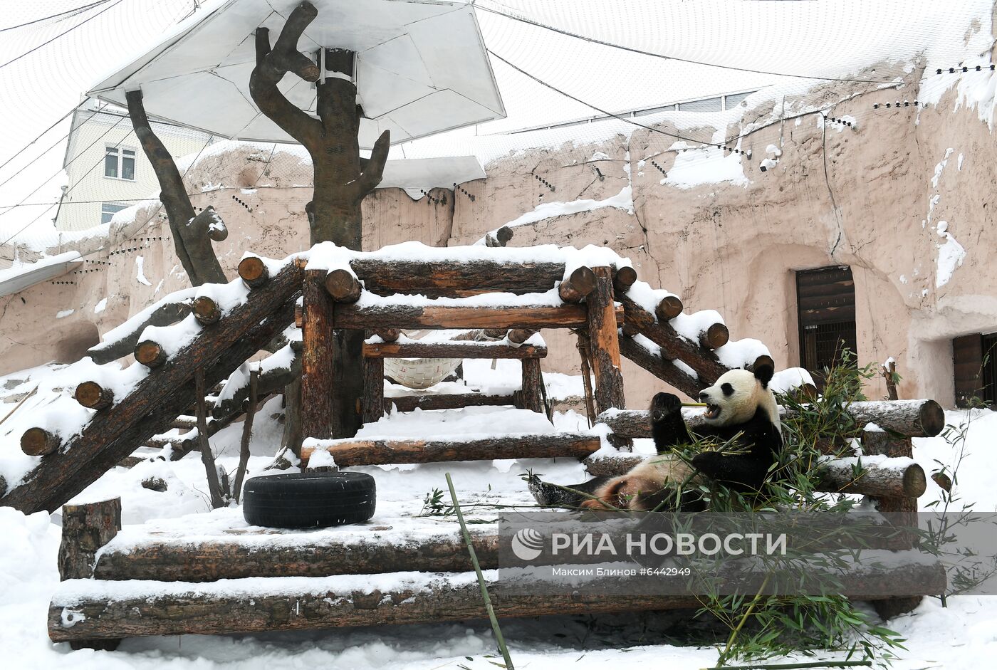 Московский зоопарк