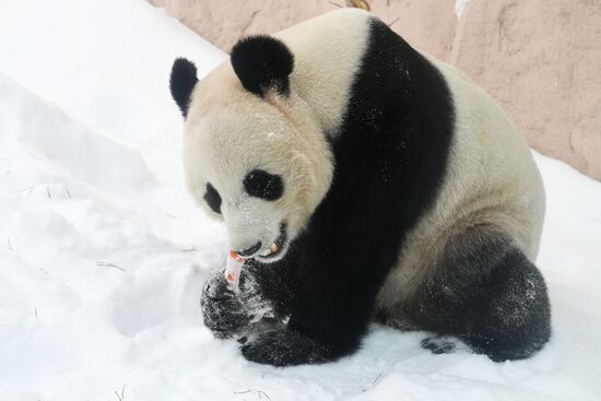 Московский зоопарк