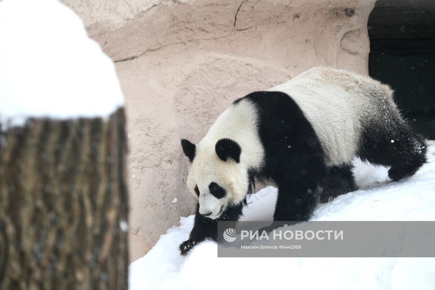 Московский зоопарк