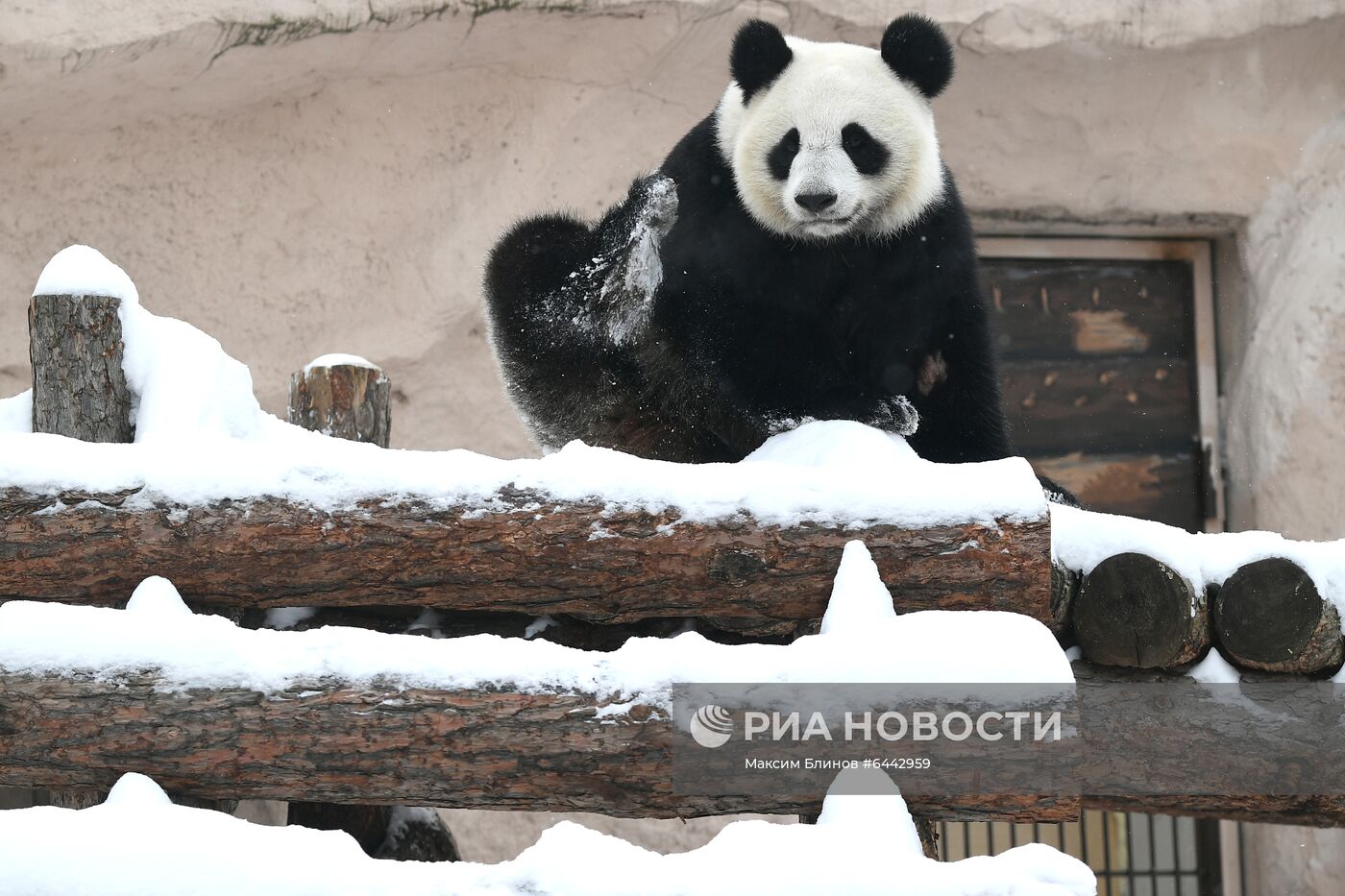 Московский зоопарк