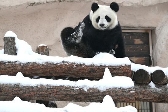 Московский зоопарк
