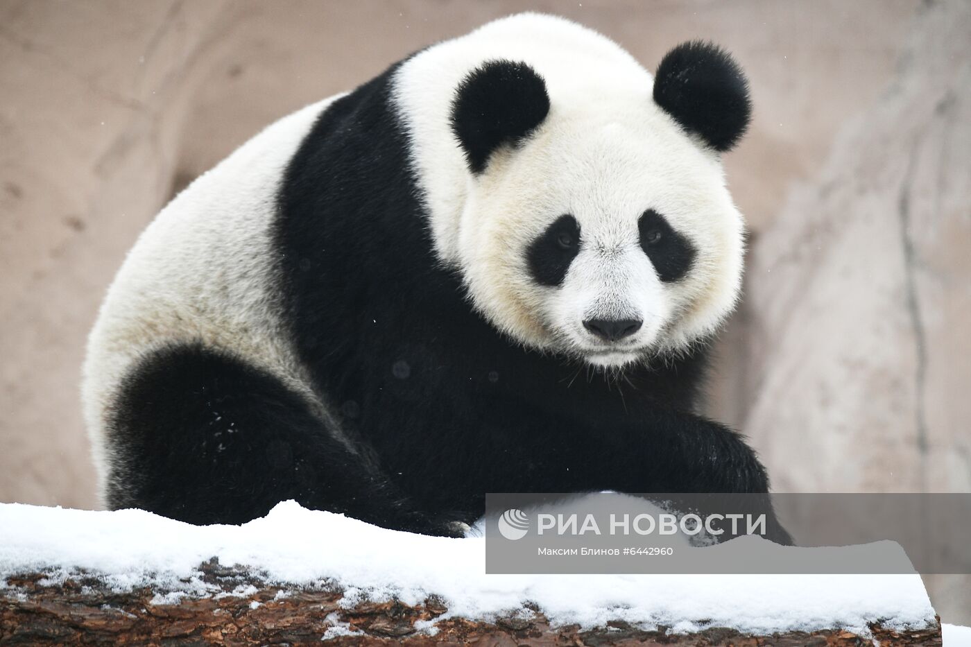 Московский зоопарк