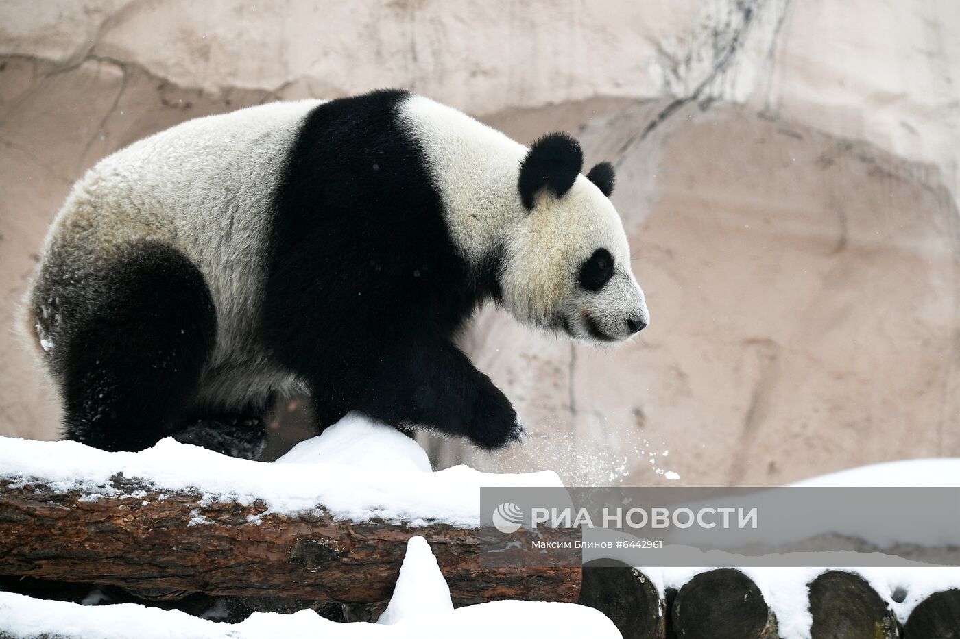 Московский зоопарк