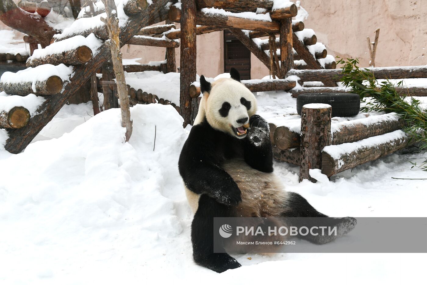 Московский зоопарк