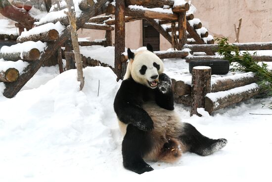 Московский зоопарк