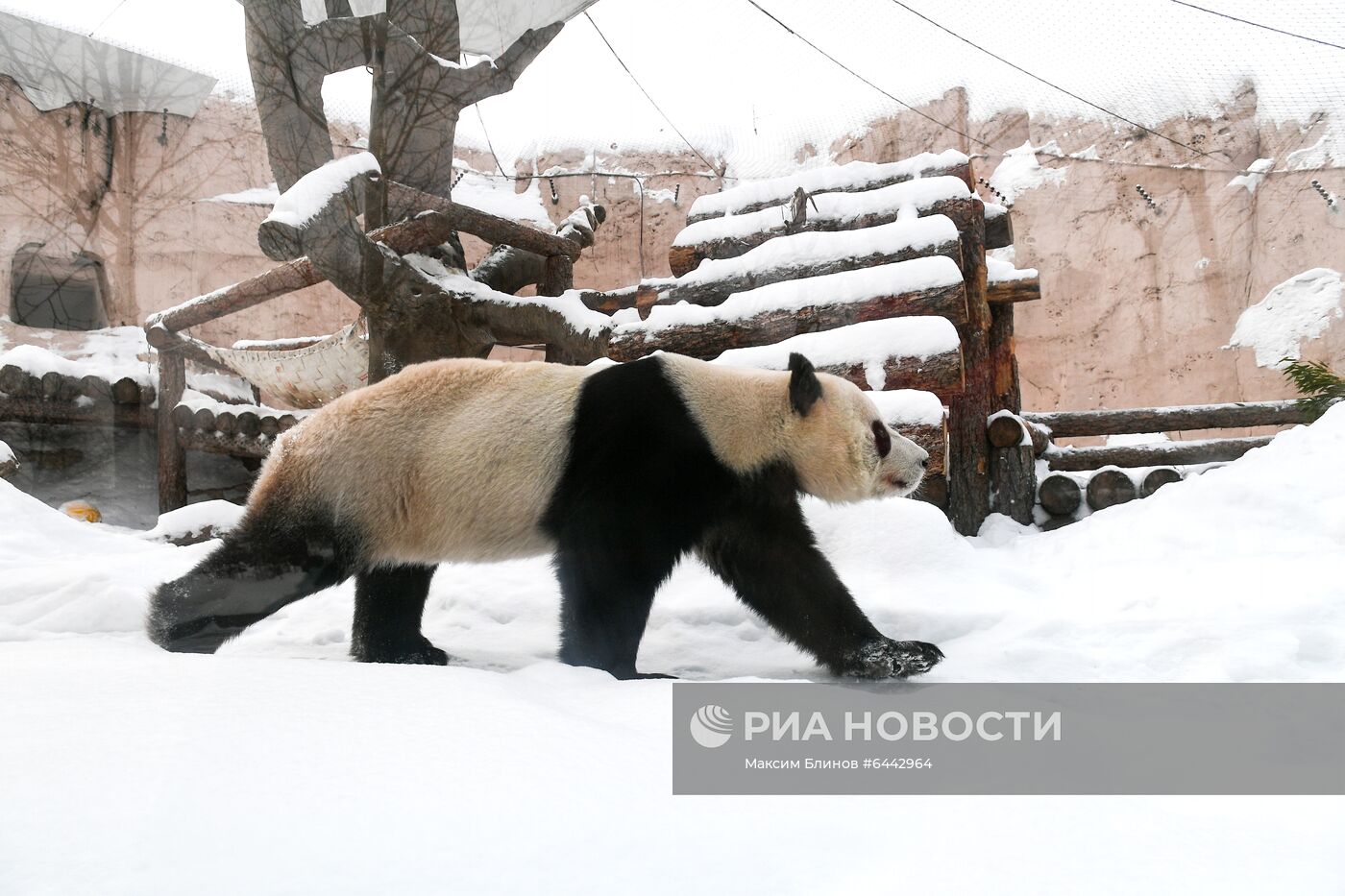 Московский зоопарк