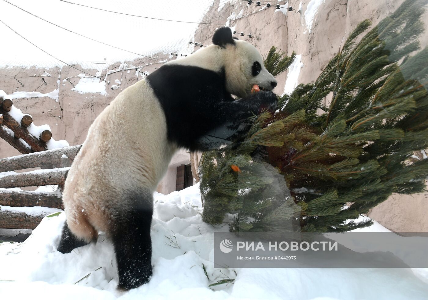 Московский зоопарк